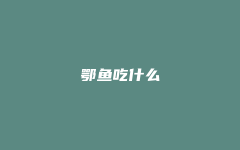 鄂鱼吃什么