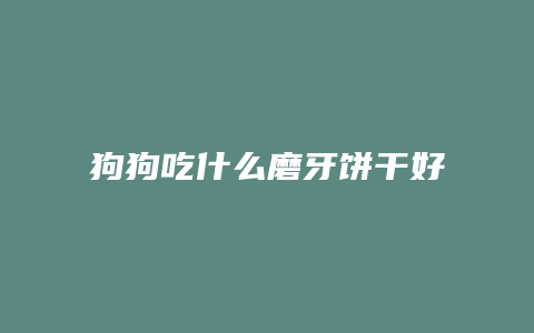 狗狗吃什么磨牙饼干好