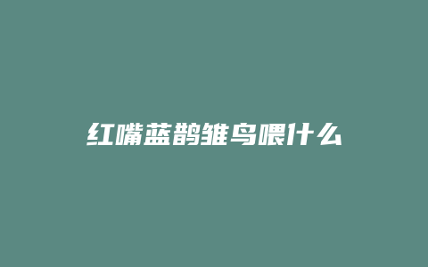 红嘴蓝鹊雏鸟喂什么