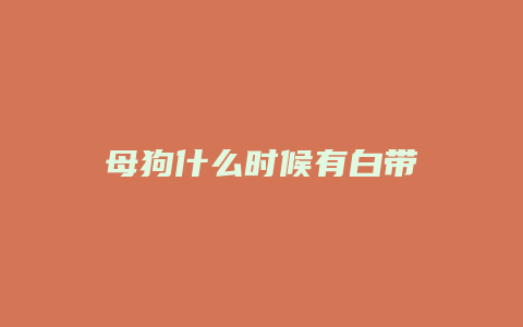 母狗什么时候有白带