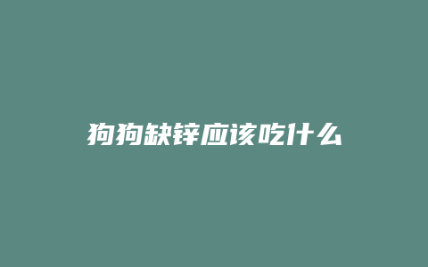 狗狗缺锌应该吃什么