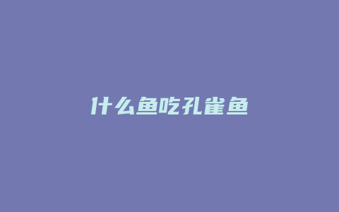 什么鱼吃孔雀鱼