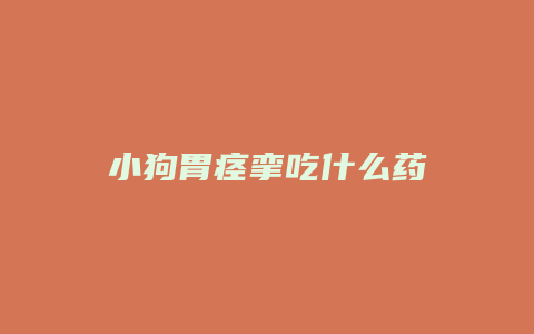 小狗胃痉挛吃什么药