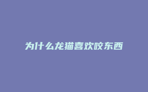 为什么龙猫喜欢咬东西