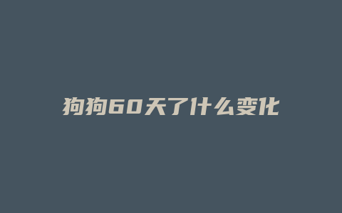 狗狗60天了什么变化