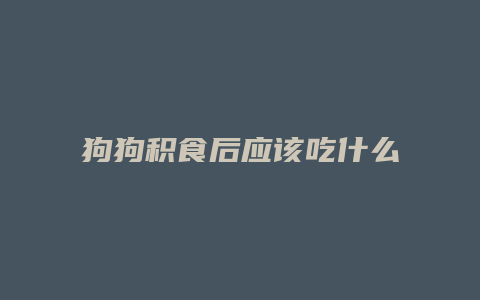 狗狗积食后应该吃什么食物好