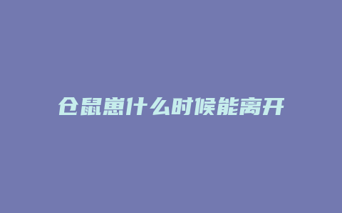 仓鼠崽什么时候能离开母仓鼠