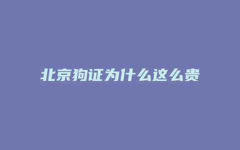 北京狗证为什么这么贵