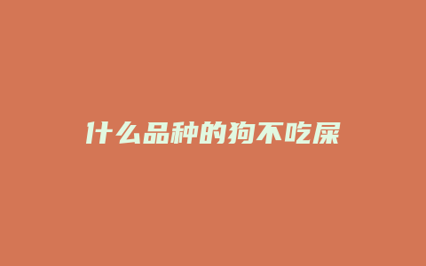 什么品种的狗不吃屎