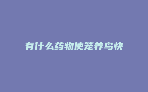 有什么药物使笼养鸟快速发情