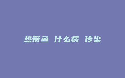 热带鱼 什么病 传染