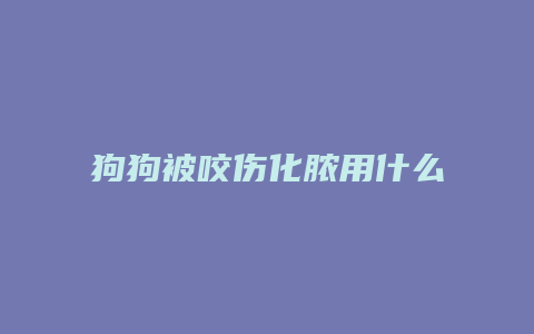 狗狗被咬伤化脓用什么