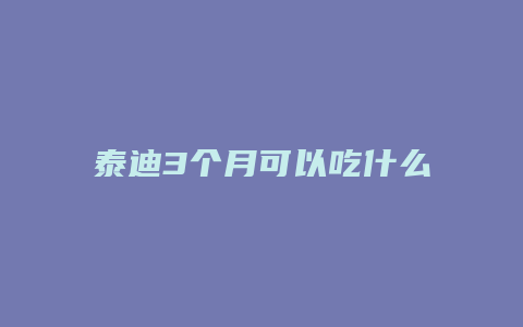 泰迪3个月可以吃什么