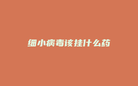 细小病毒该挂什么药