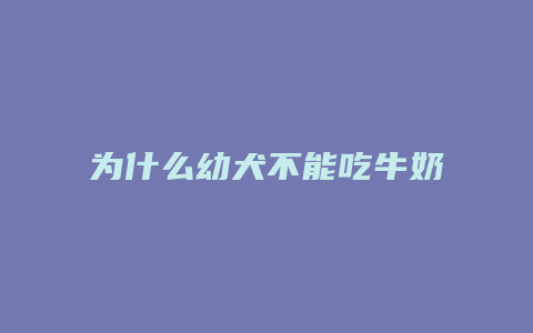 为什么幼犬不能吃牛奶