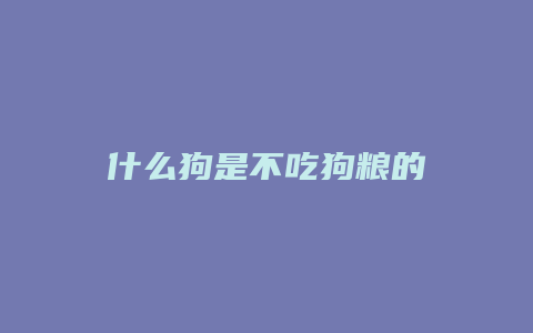 什么狗是不吃狗粮的