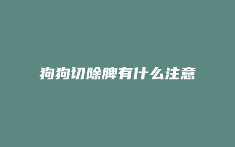 狗狗切除脾有什么注意的地方