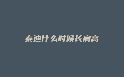 泰迪什么时候长肩高