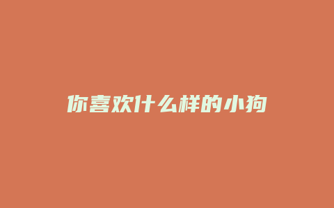 你喜欢什么样的小狗