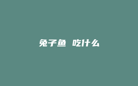 兔子鱼 吃什么