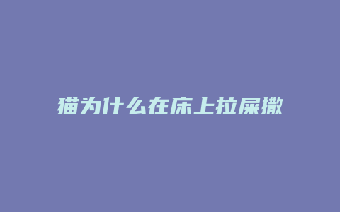 猫为什么在床上拉屎撒尿