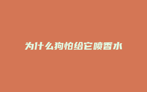 为什么狗怕给它喷香水