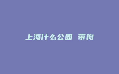 上海什么公园 带狗