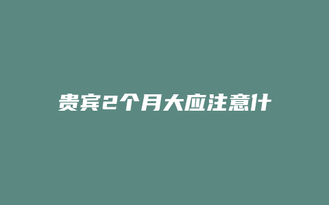 贵宾2个月大应注意什么