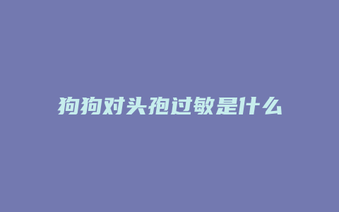 狗狗对头孢过敏是什么症状