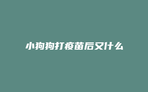 小狗狗打疫苗后又什么不良反应