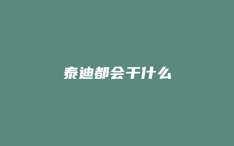 泰迪都会干什么