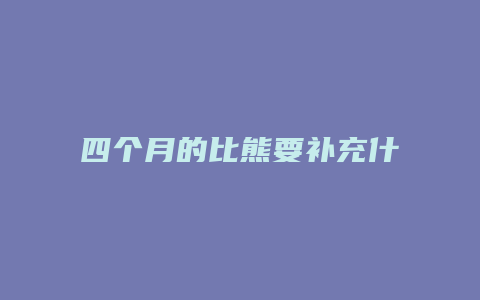 四个月的比熊要补充什么营养