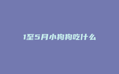 1至5月小狗狗吃什么