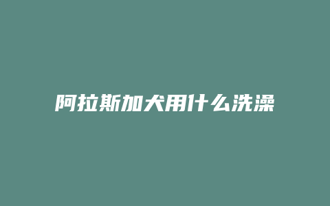 阿拉斯加犬用什么洗澡