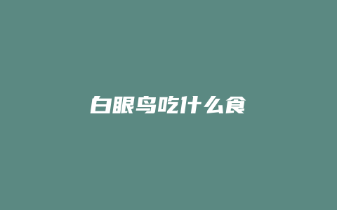 白眼鸟吃什么食