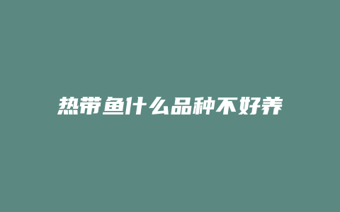 热带鱼什么品种不好养