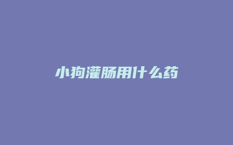 小狗灌肠用什么药