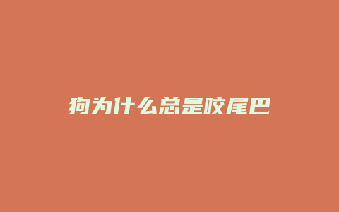 狗为什么总是咬尾巴