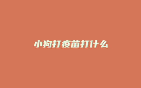 小狗打疫苗打什么