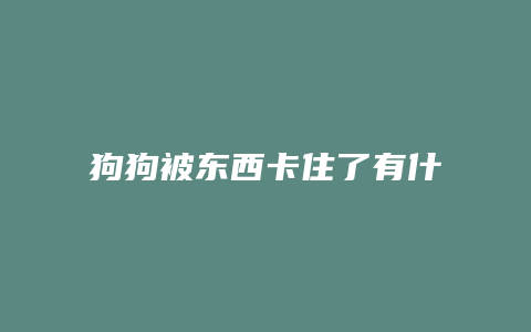 狗狗被东西卡住了有什么反应