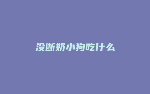 没断奶小狗吃什么