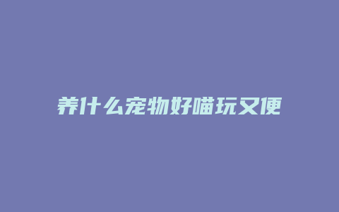 养什么宠物好喵玩又便宜