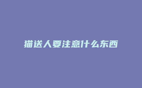 猫送人要注意什么东西