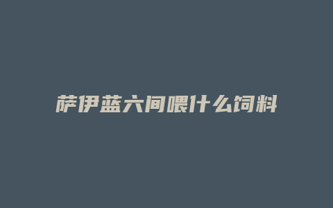 萨伊蓝六间喂什么饲料