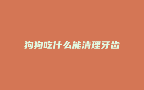 狗狗吃什么能清理牙齿