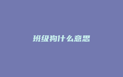 班级狗什么意思