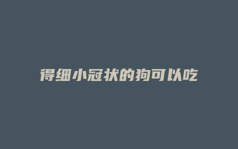 得细小冠状的狗可以吃什么东西