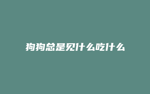 狗狗总是见什么吃什么