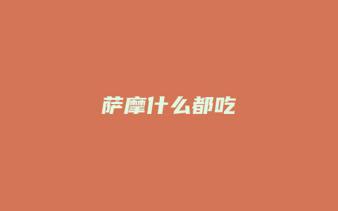 萨摩什么都吃