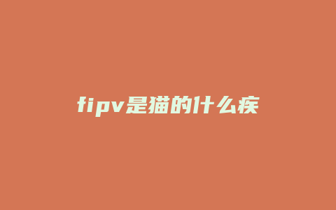 fipv是猫的什么疾病